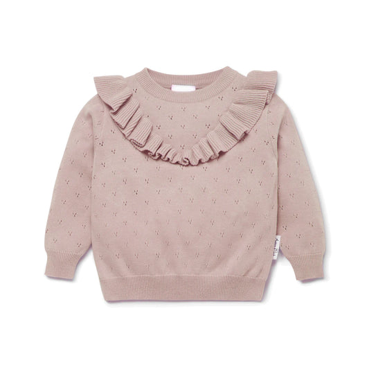 Aster & Oak Wild Rose Pointelle Ruffle Knit Jumper