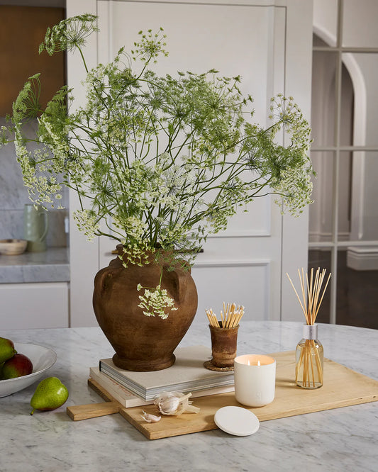 Circa Alchemy White Tea & Wild Mint Fragrance Diffuser 250mL