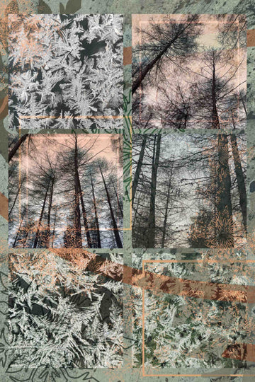 Merino Wool Scarf | Lagom