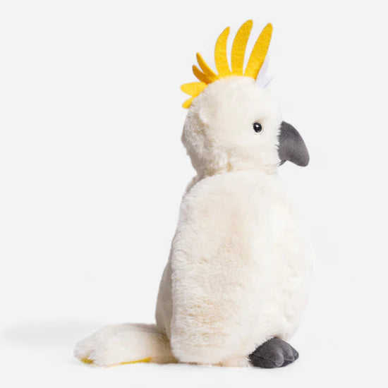 Furfolk Cockatoo