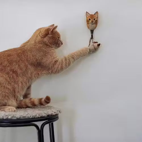 Hand-Carved House Cat Hook