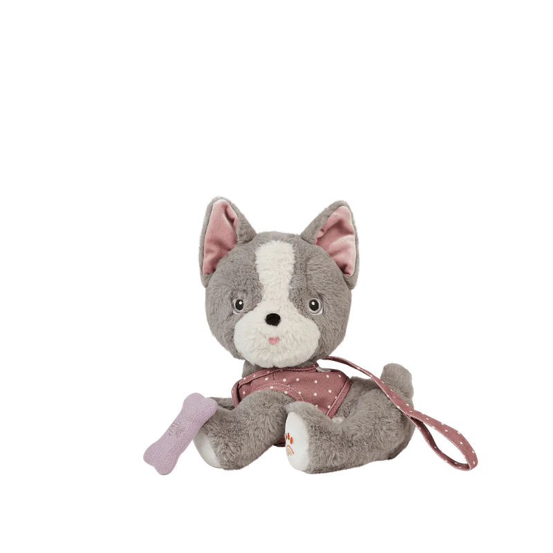 Dinkum Dogs | Gizmo
