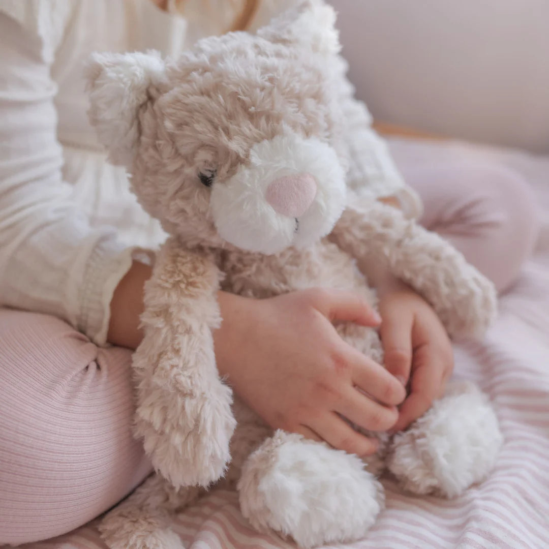 Pickles The Weighted Cat