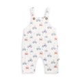 Tiny Twig Harvest Time Overalls