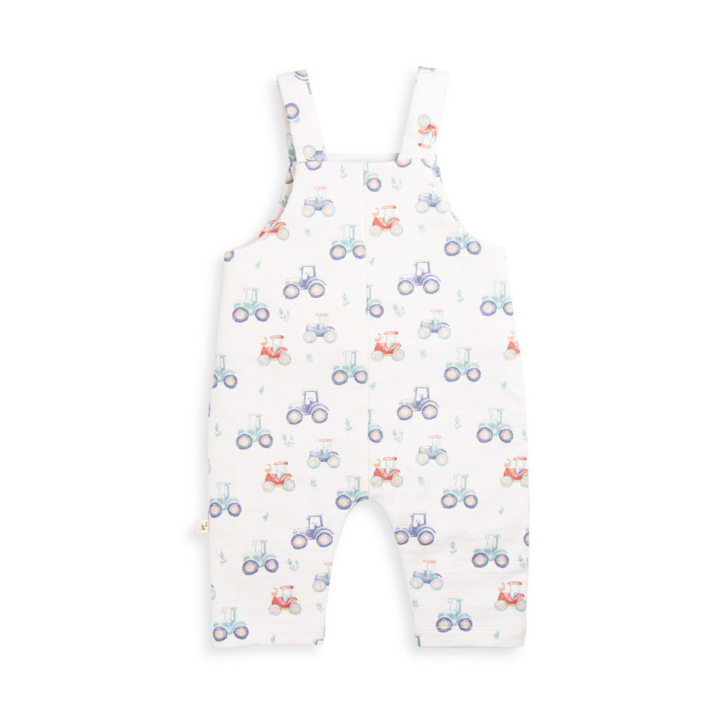Tiny Twig Harvest Time Overalls