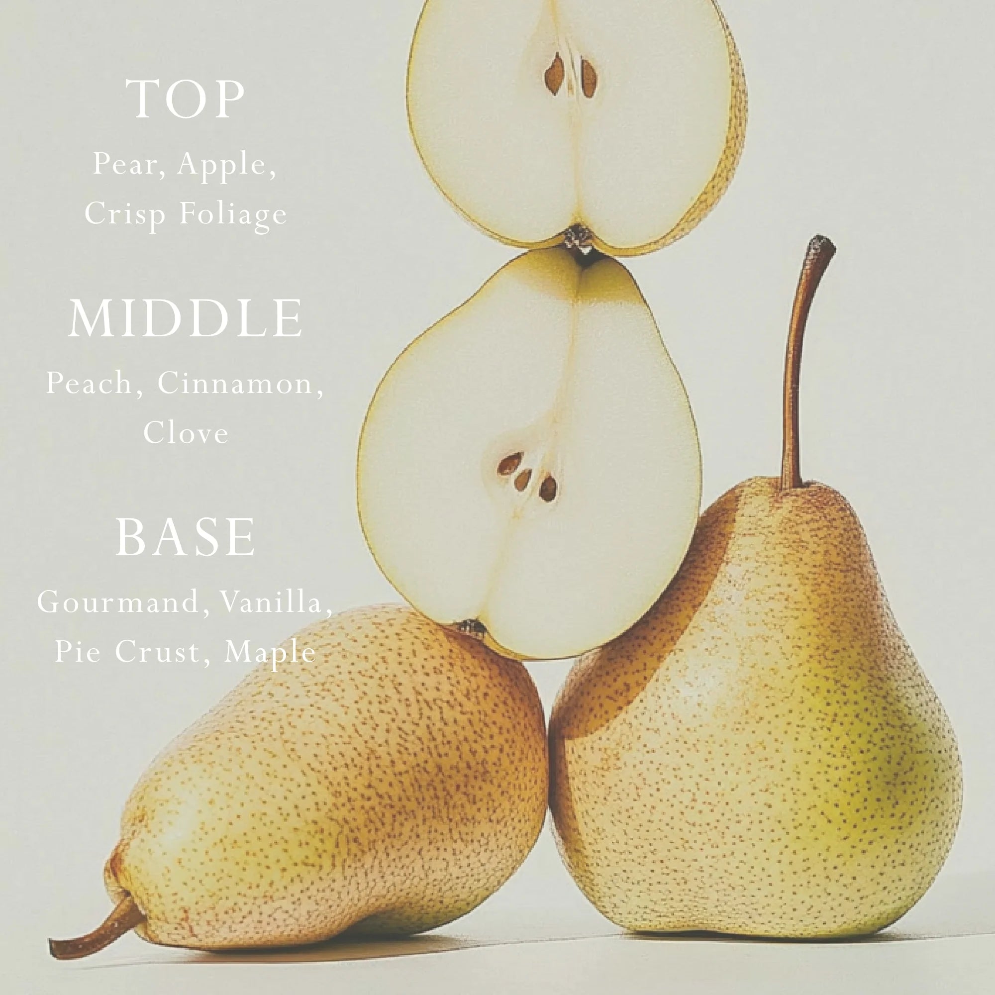 MOR Boutique Italian Pear Car Diffuser