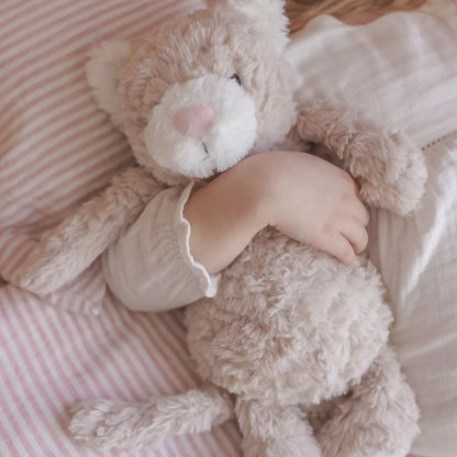 Pickles The Weighted Cat