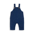 Tiny Twig Boys Denim Overalls