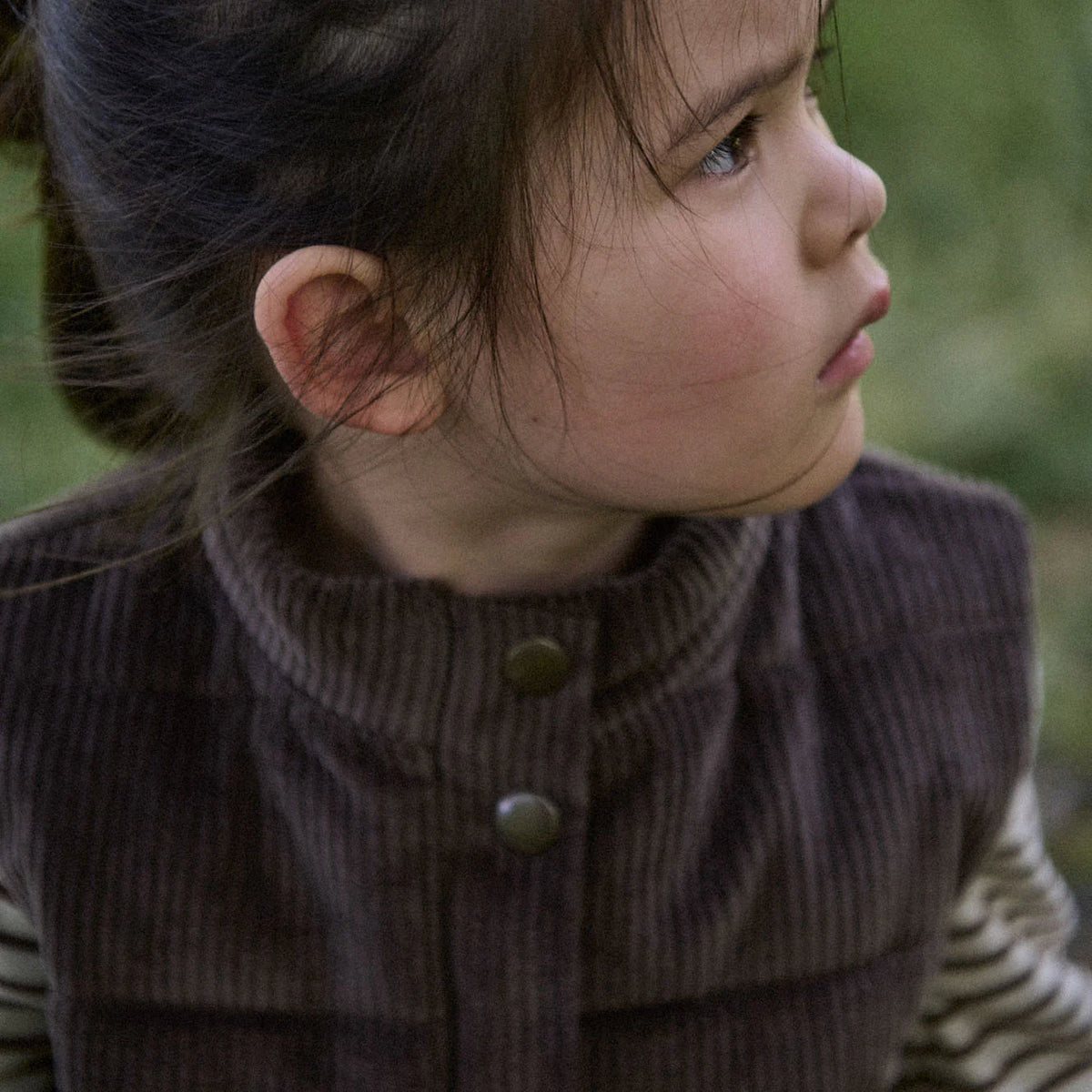 Abel Vest - Pinecone