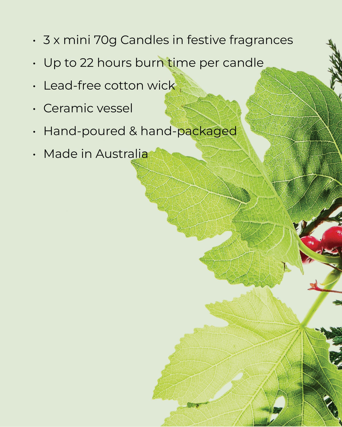 Christmas Candle Trio 3 x 70g - Christmas 2026, image 3