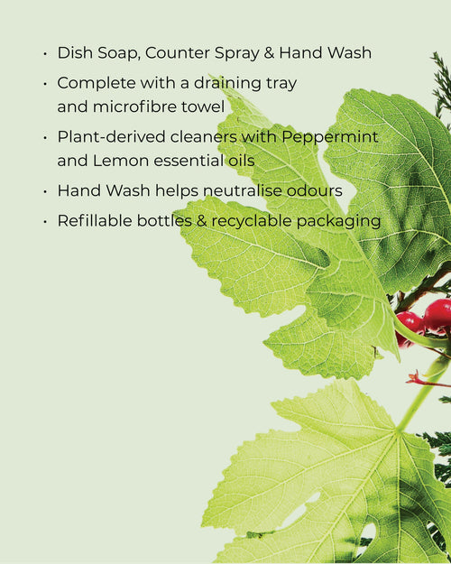 White Tea & Wild Mint Kitchen Trio Gift Set 900mL - Christmas 2026, image 2