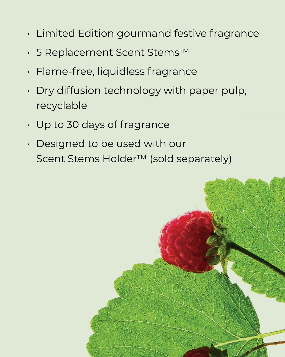Raspberry & Rhubarb Scent Stems Refill - Christmas 2026, image 3