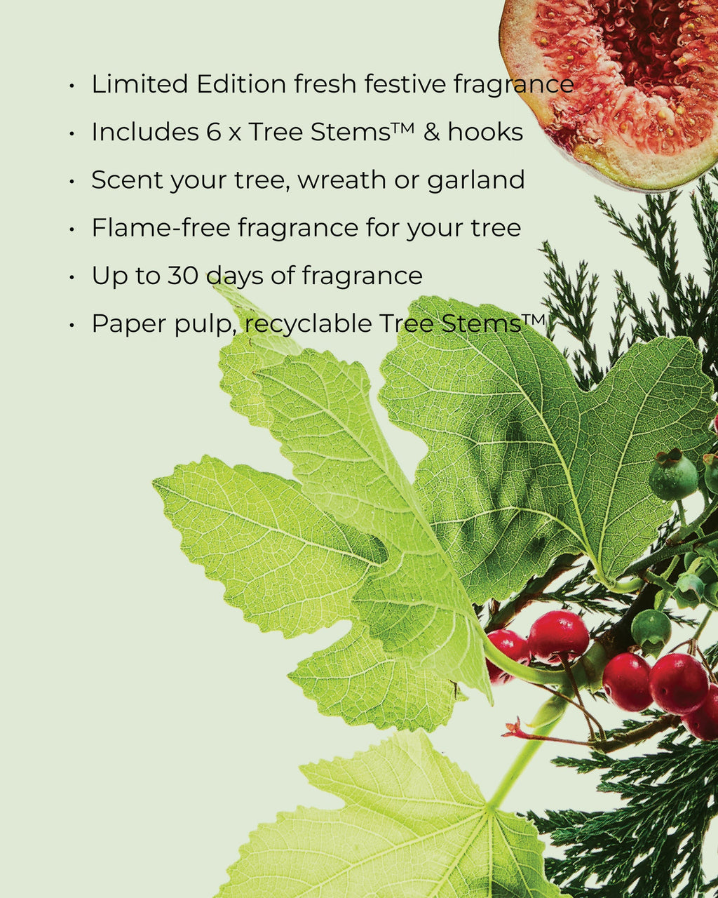 White Fig & Cedar Christmas Tree Scent Stems - Christmas 2026, image 3