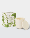 Circa Alchemy White Tea & Wild Mint Soy Candle 300g