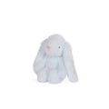 Holly & Ivy Sky Jasper Bunny 20cm