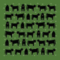 Red Tractor Angus on Green - Cotton Hanky