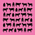 Red Tractor Angus on Pink - Cotton Hanky
