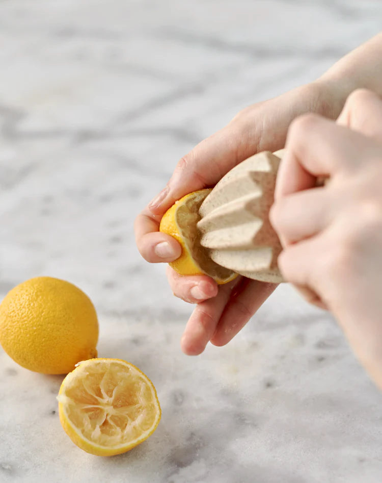 Robert Gordon Granite Citrus Juicer