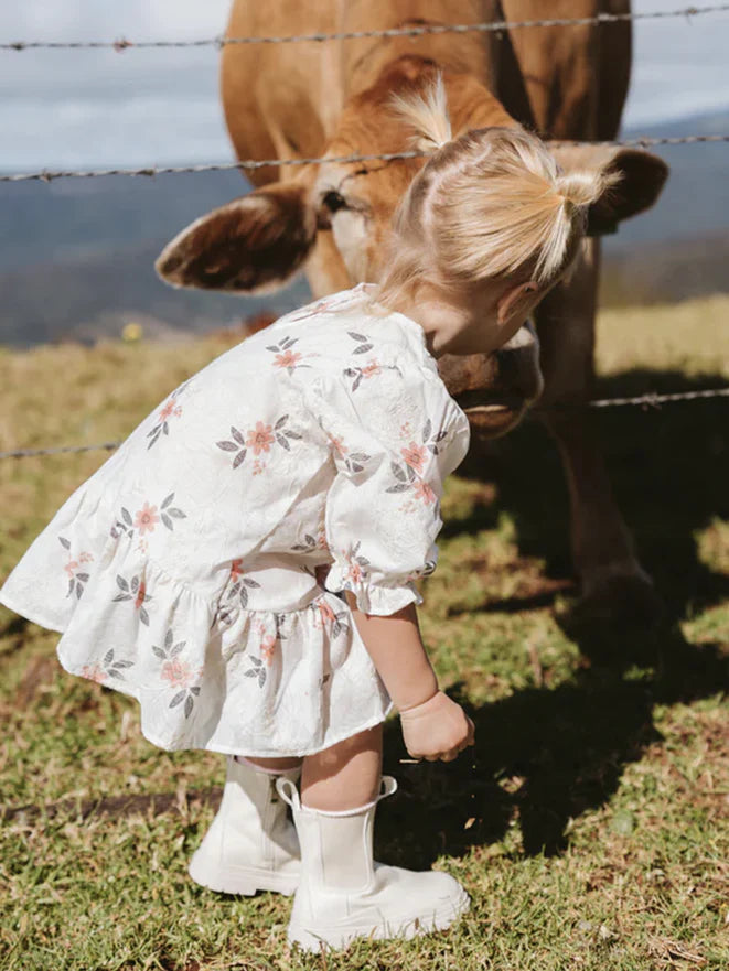 Walnut June Dress - Lace