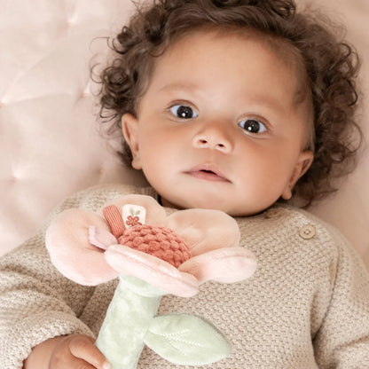 Baby's Rattle Flower