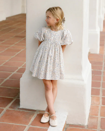 Noralee Luna Dress I Blue Garden