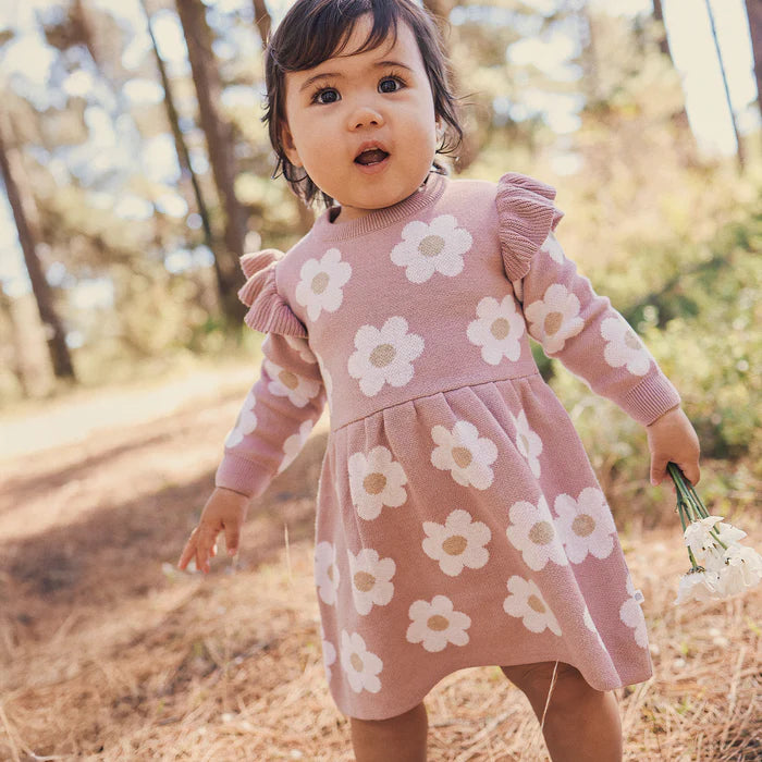 Kyndbaby Jacquard Knit Dress - Wood Rose