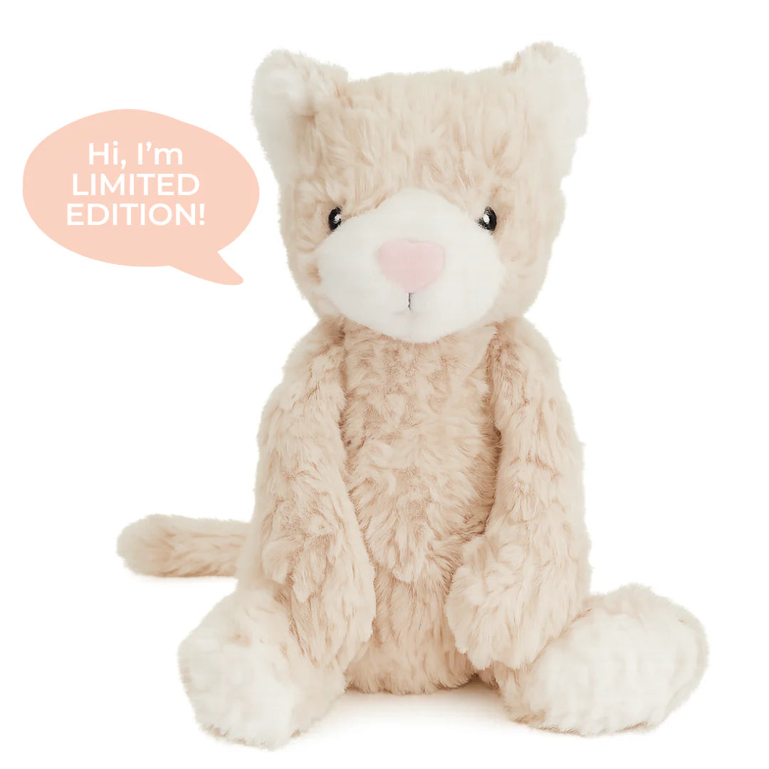 Pickles The Weighted Cat