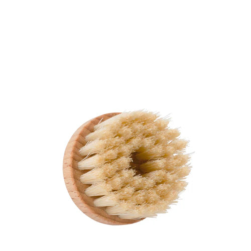 Face Brush - Round
