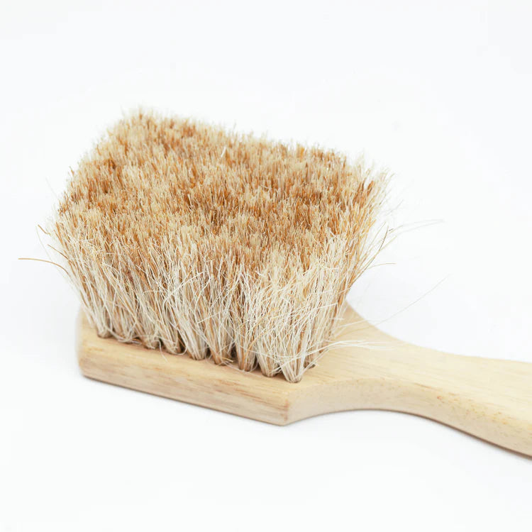 Beach Sand Brush