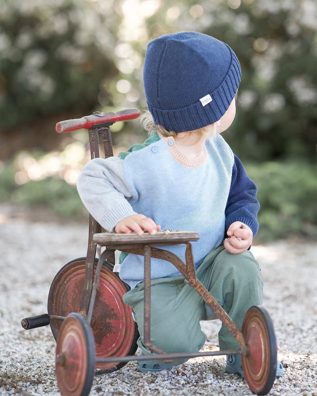 Toshi Organic Pullover Bobby Bluebell
