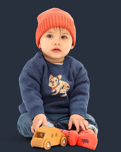 Toshi Organic Pullover | Frenchie