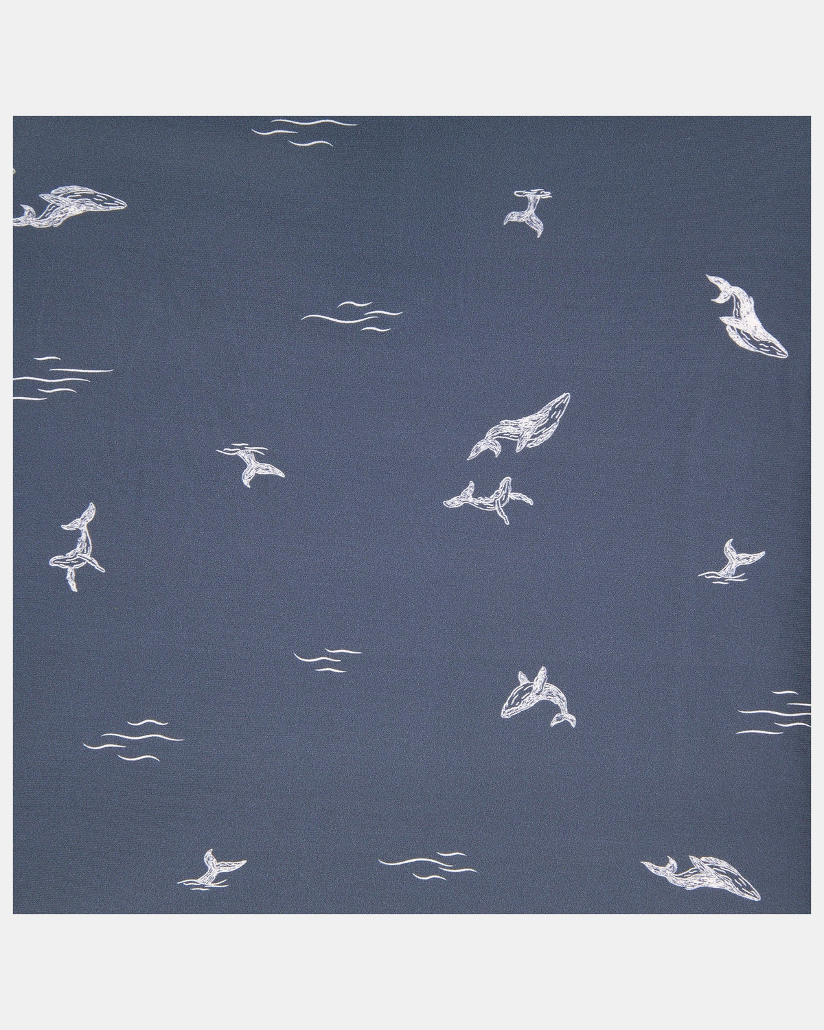 Reusable Swim Nappy Whales