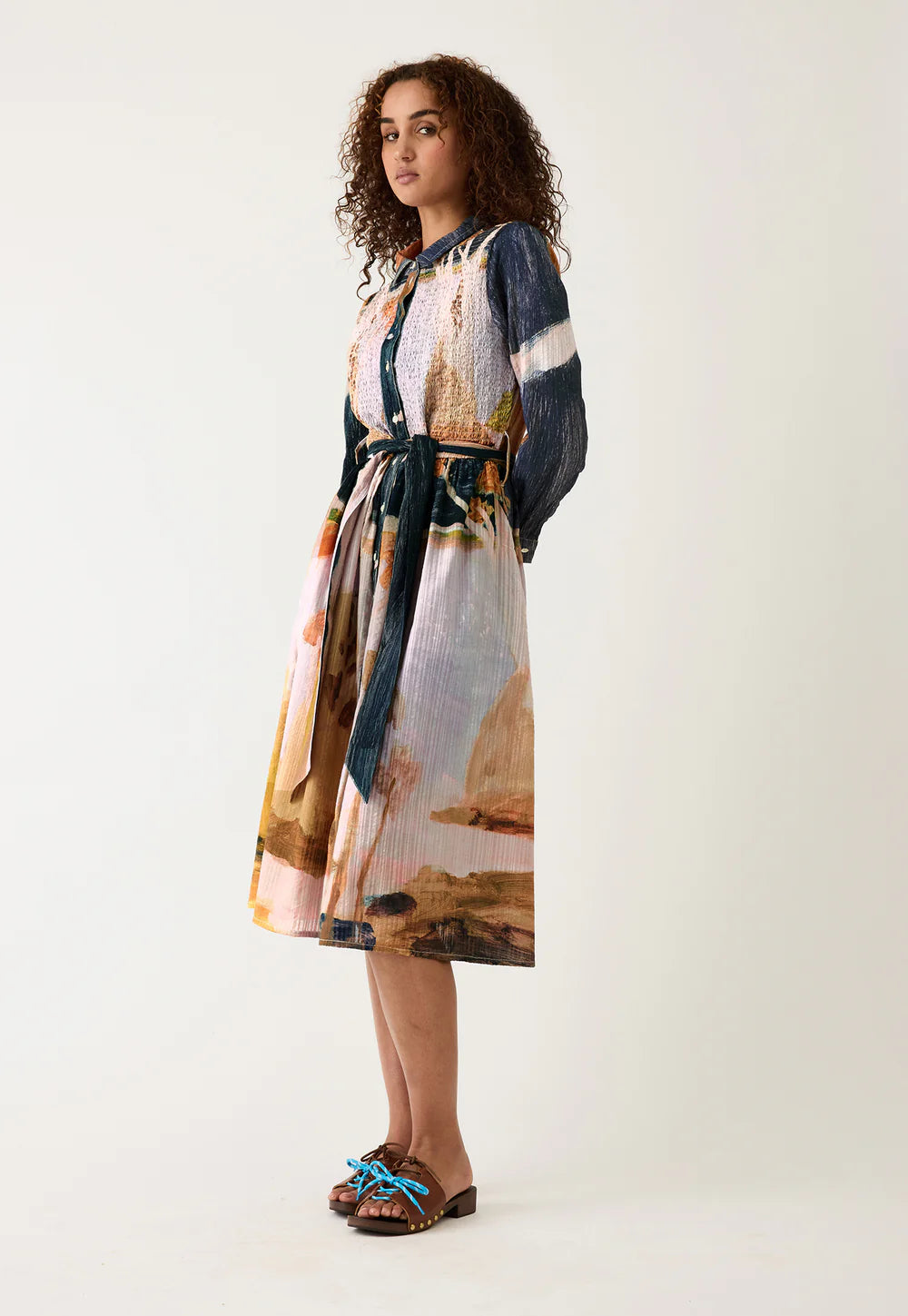 Nancybird Delphi Dress - Night Herons