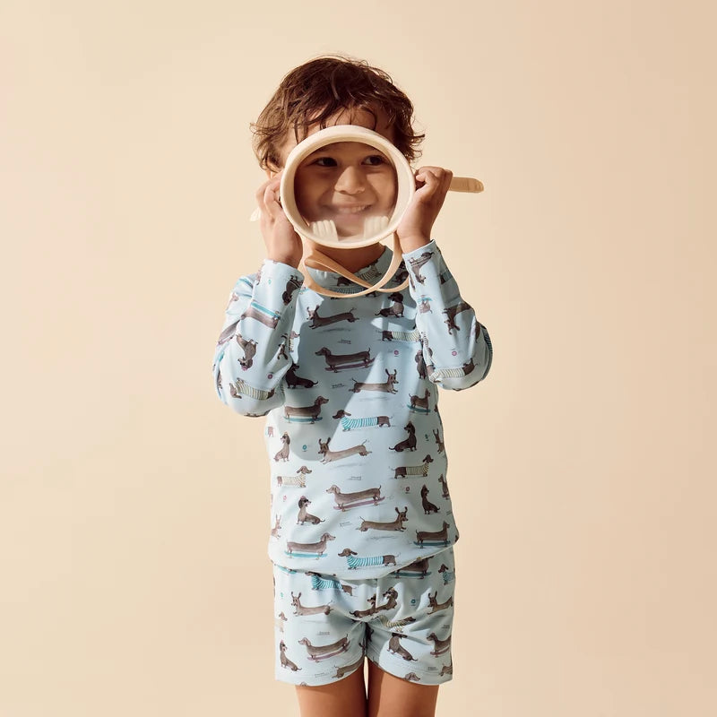 Dashing Rashie Swim Set