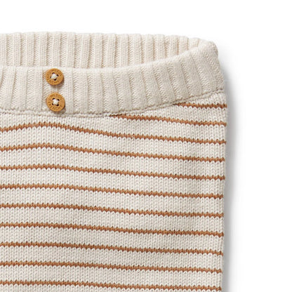 Wilson & Frenchy Cinnamon Stripe Organic Knitted Legging
