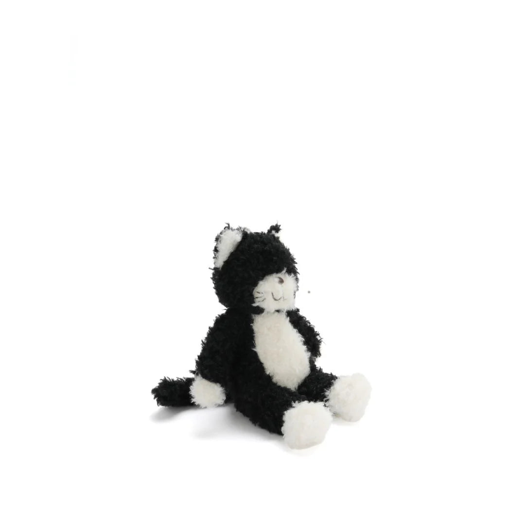 Checkers the Kitten - Black