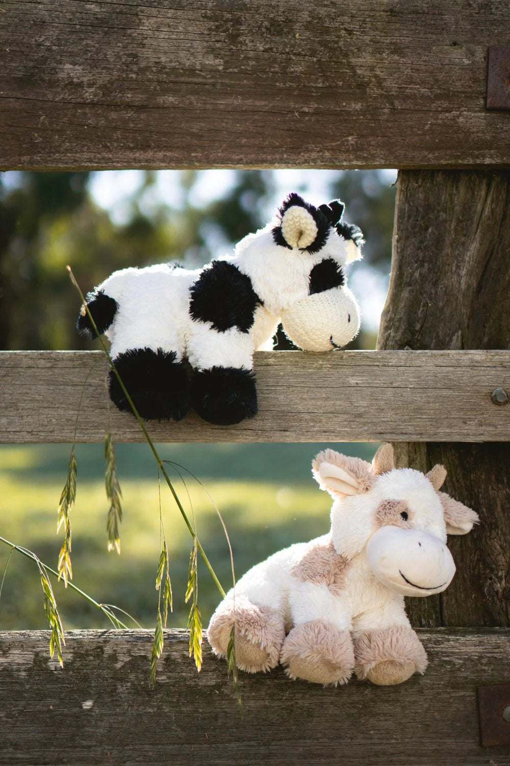 Nana Huchy Coco The Cow - Beige