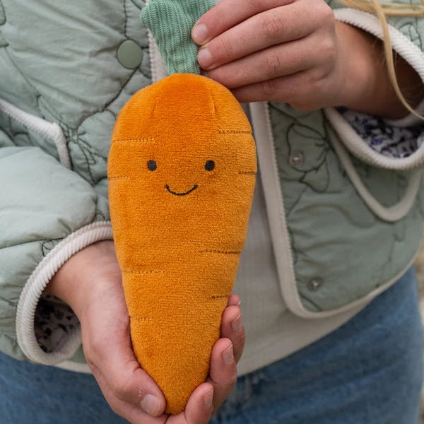 Curtis Carrot - The Caring Friend