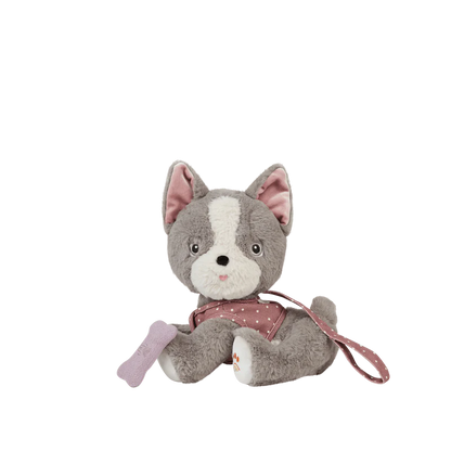 Dinkum Dogs | Gizmo
