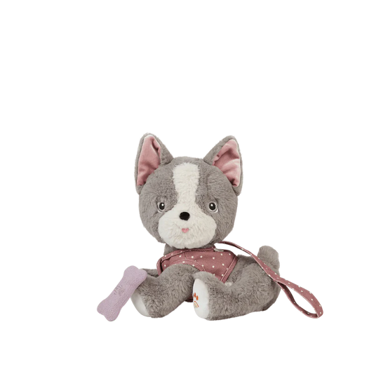 Dinkum Dogs | Gizmo