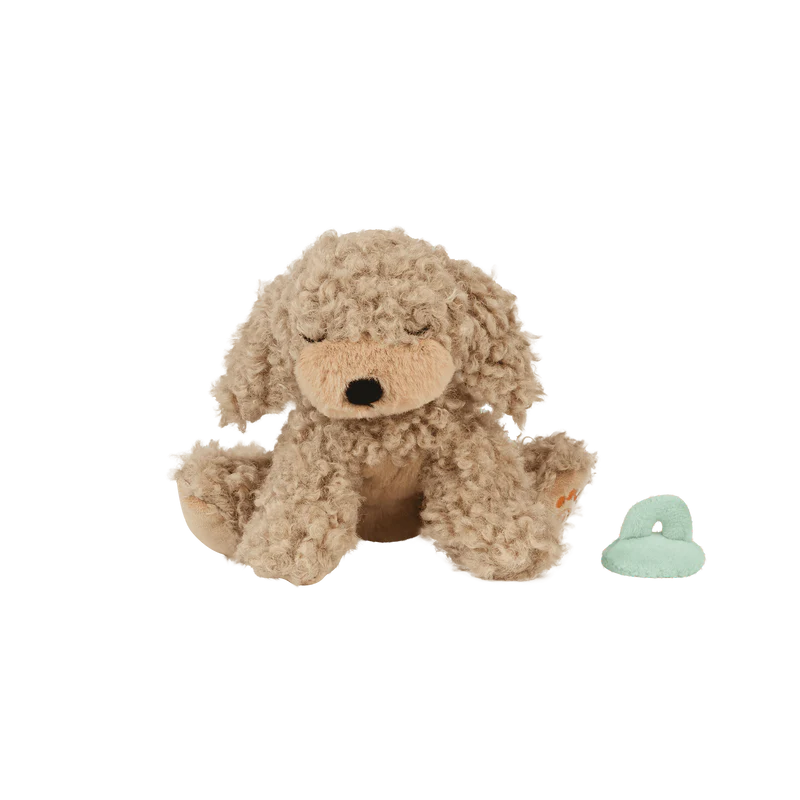Dinkum Dolls Binky Puppy - Benny