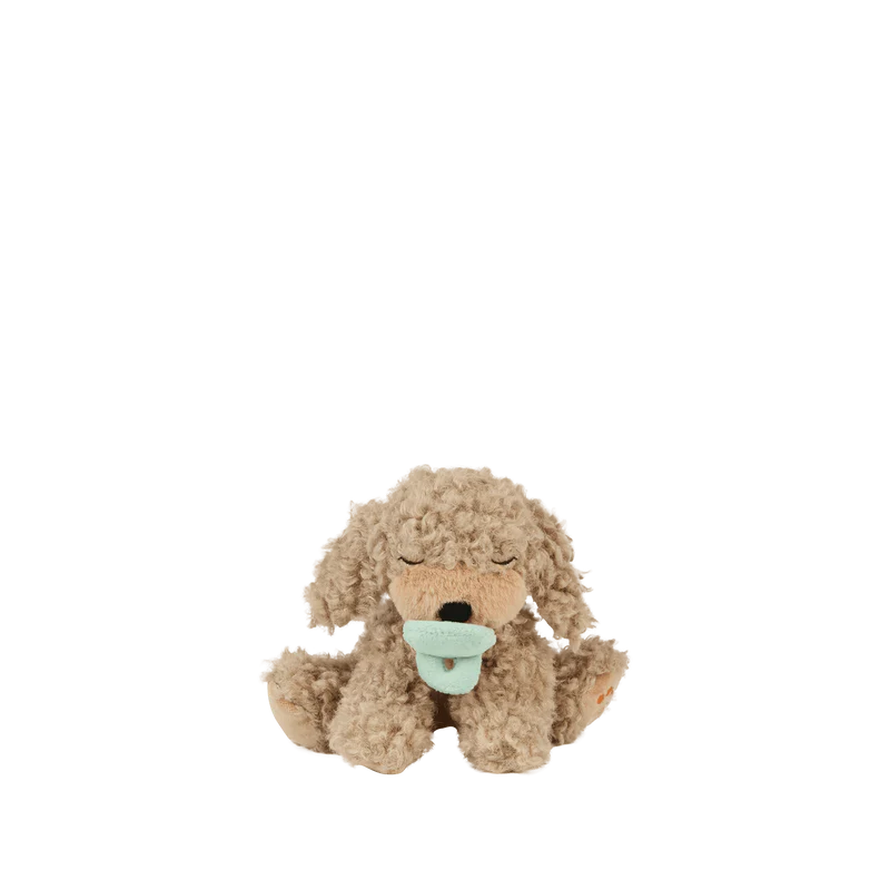 Binky Puppy - Benny