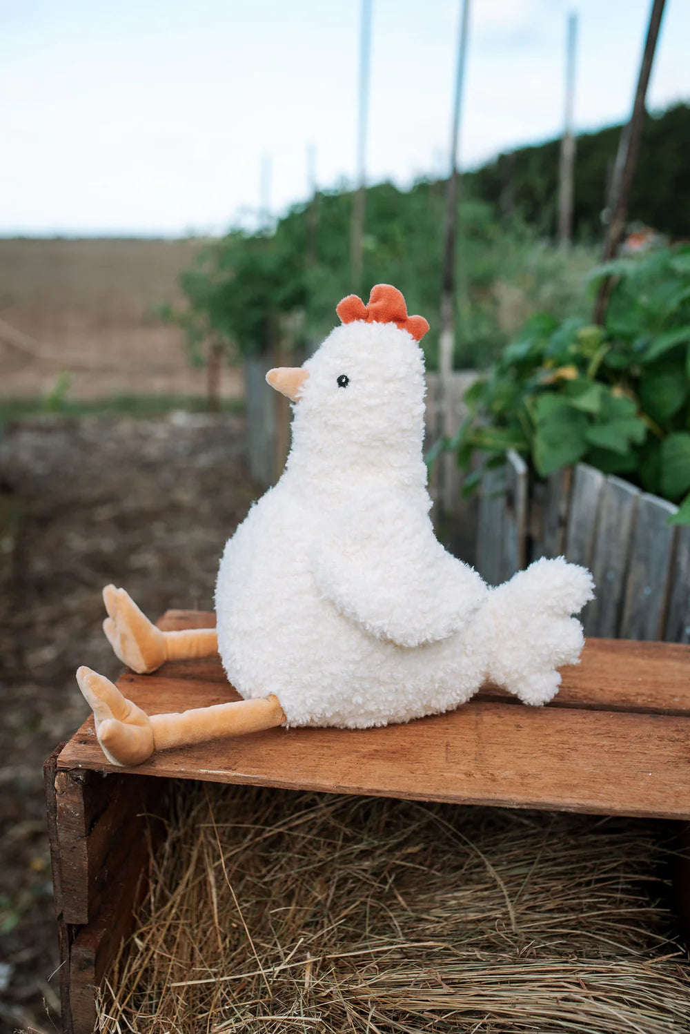 Henrietta the Hen