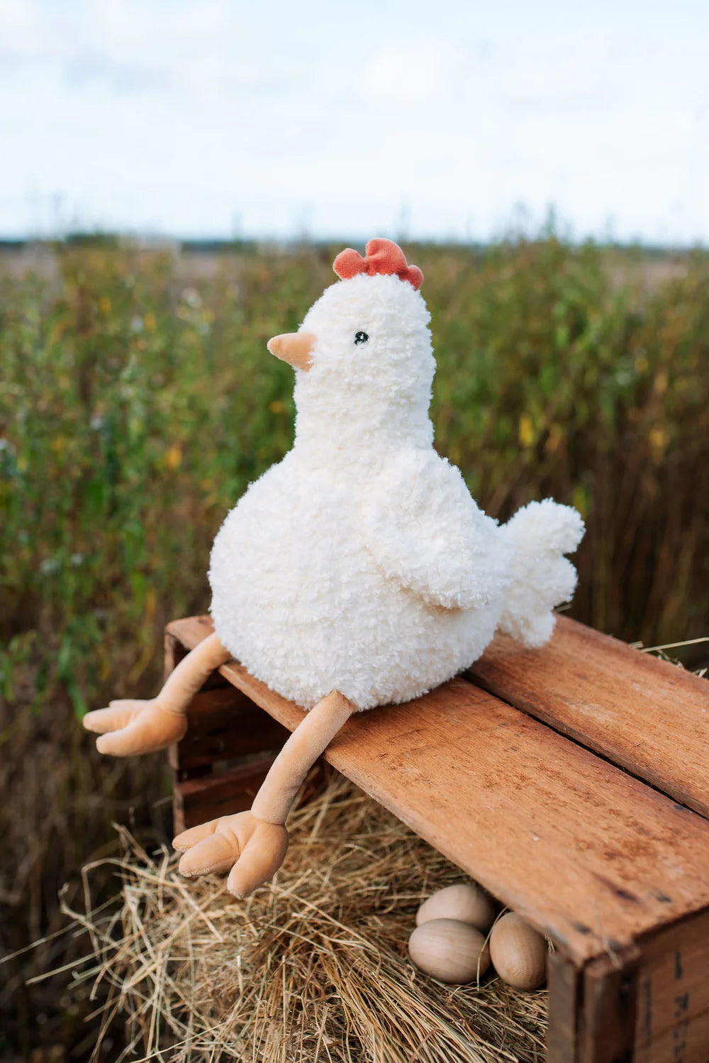 Henrietta the Hen