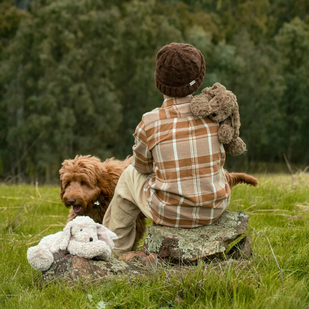 Max the Dog - Brown