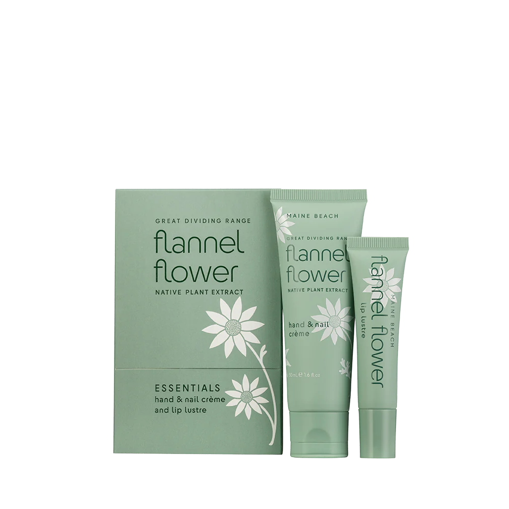 Maine Beach Flannel Flower - Essentials Pack